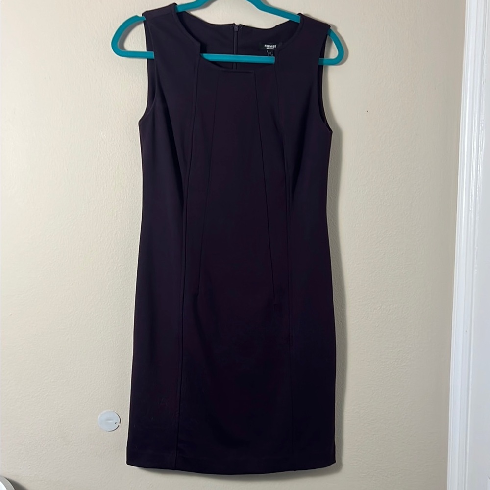 Premise Eggplant Sleeveless Sheath Dress Size 4